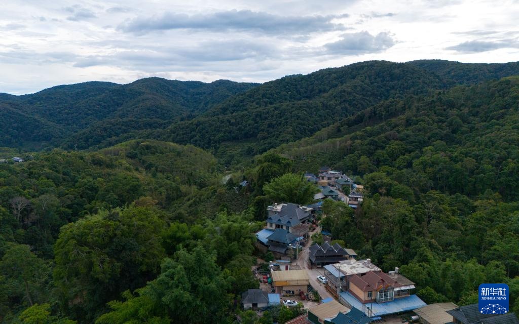 云南基诺山:雨林深处的古调新声 云南基诺山:雨林深处的古调新声