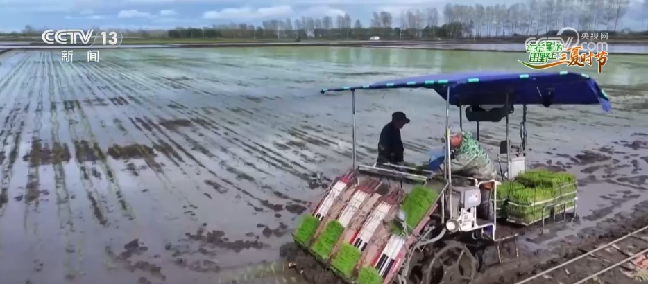 “新农机+新品种”助力增产增收 在希望的田野上 “丰”景可期