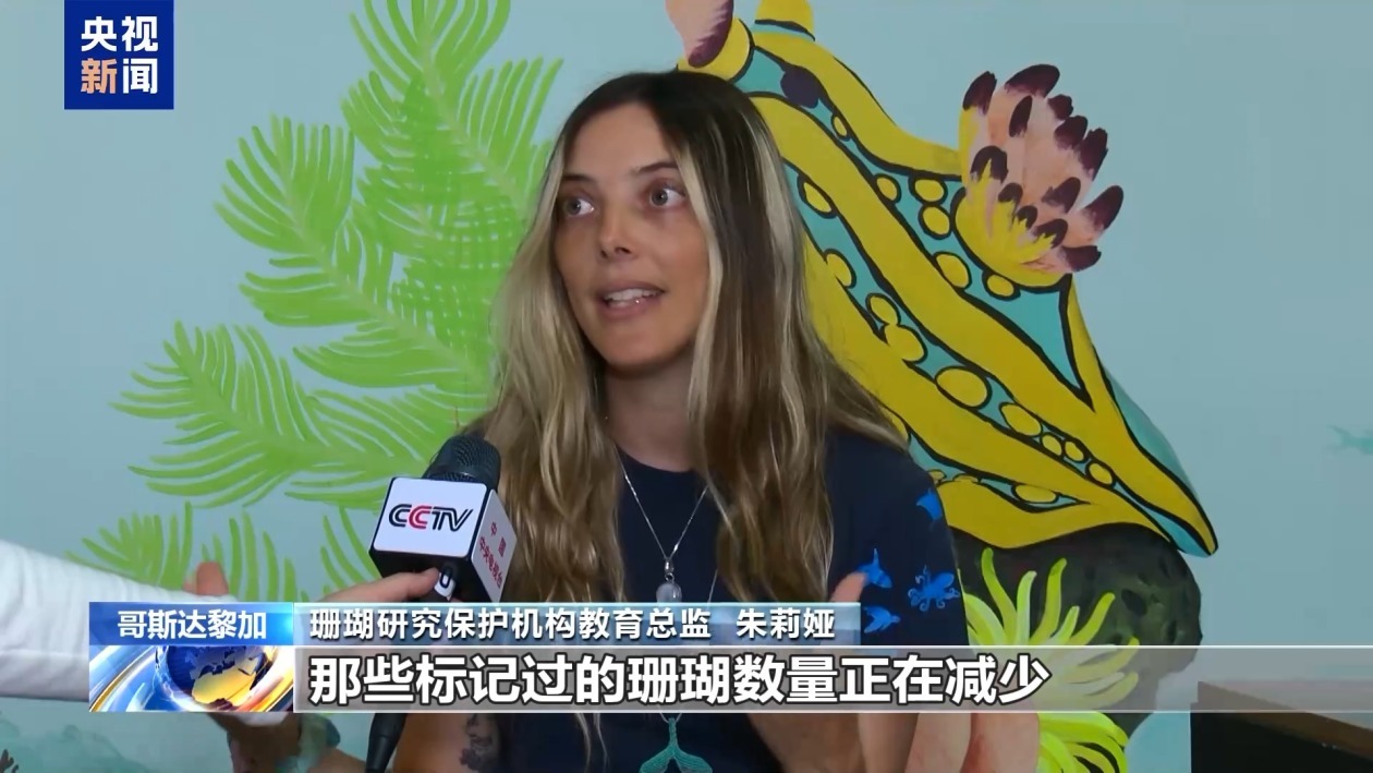 珊瑚礁大面积白化 哥斯达黎加多个机构联合展开修复行动