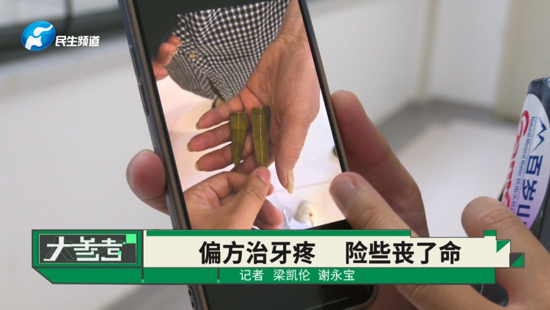 这种常见植物又开花了,但劝你千万别碰 这种常见植物又开花了,但劝你千万别碰