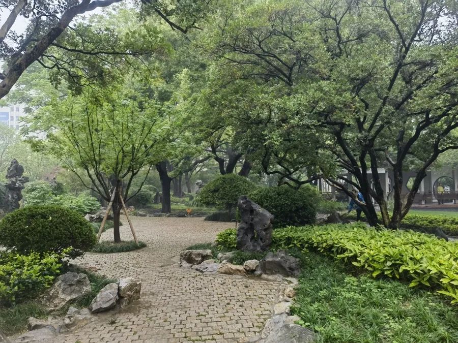 紧急提醒:瞬间爆发!上海市民崩溃:密密麻麻,蠕蠕爬行...“梧桐区”已开始战斗,白蚁或提前分飞 紧急提醒:瞬间爆发!上海市民崩溃:密密麻麻,蠕蠕爬行...“梧桐区”已开始战斗,白蚁或提前分飞