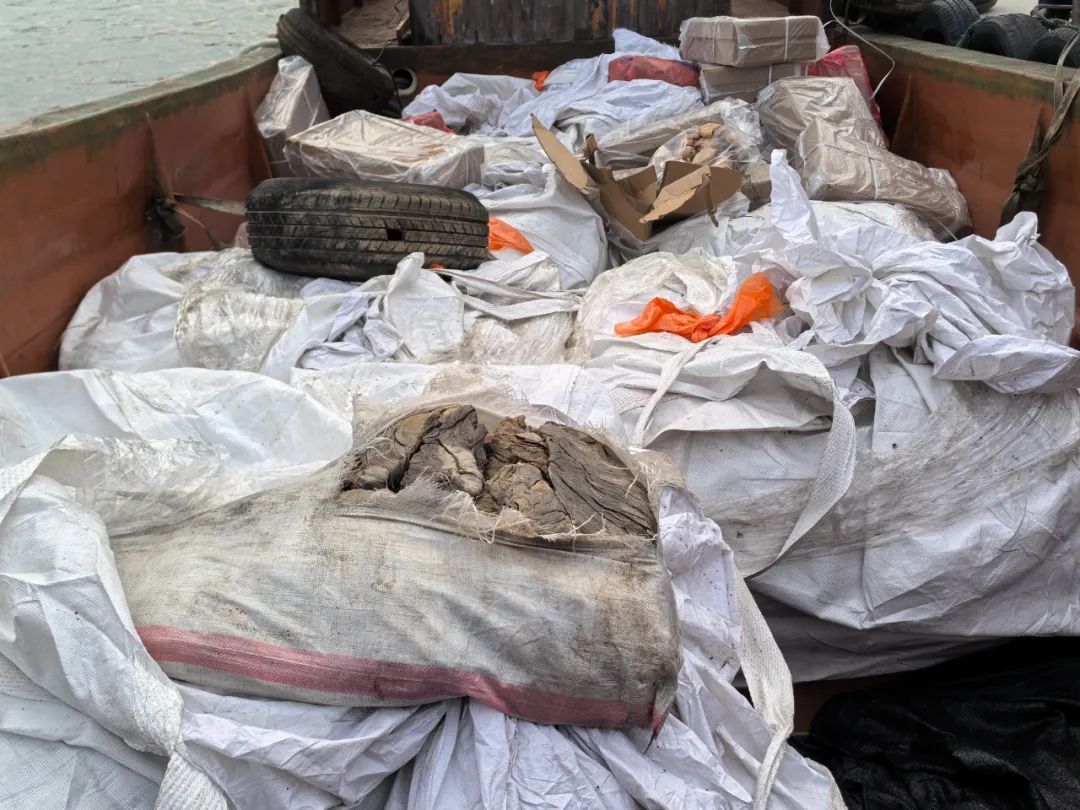 广州海关查获一批走私猪肚、牛百叶，部分已变质