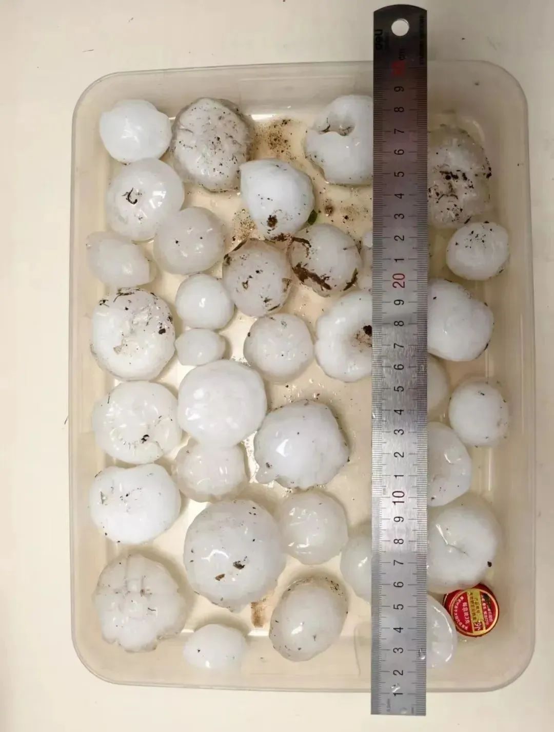 捡到冰雹？拿玛瑙和你换！网友：怎么不早说，下次玛瑙给我留着……