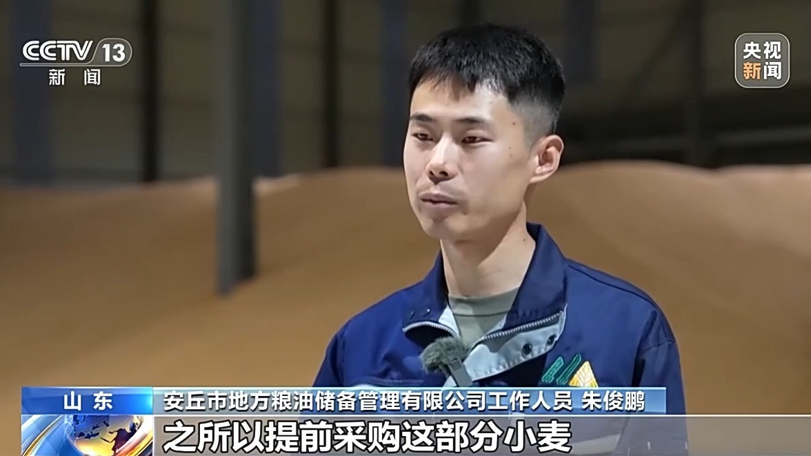 还在地里就被买走 从竞价平台看小麦市场新变化