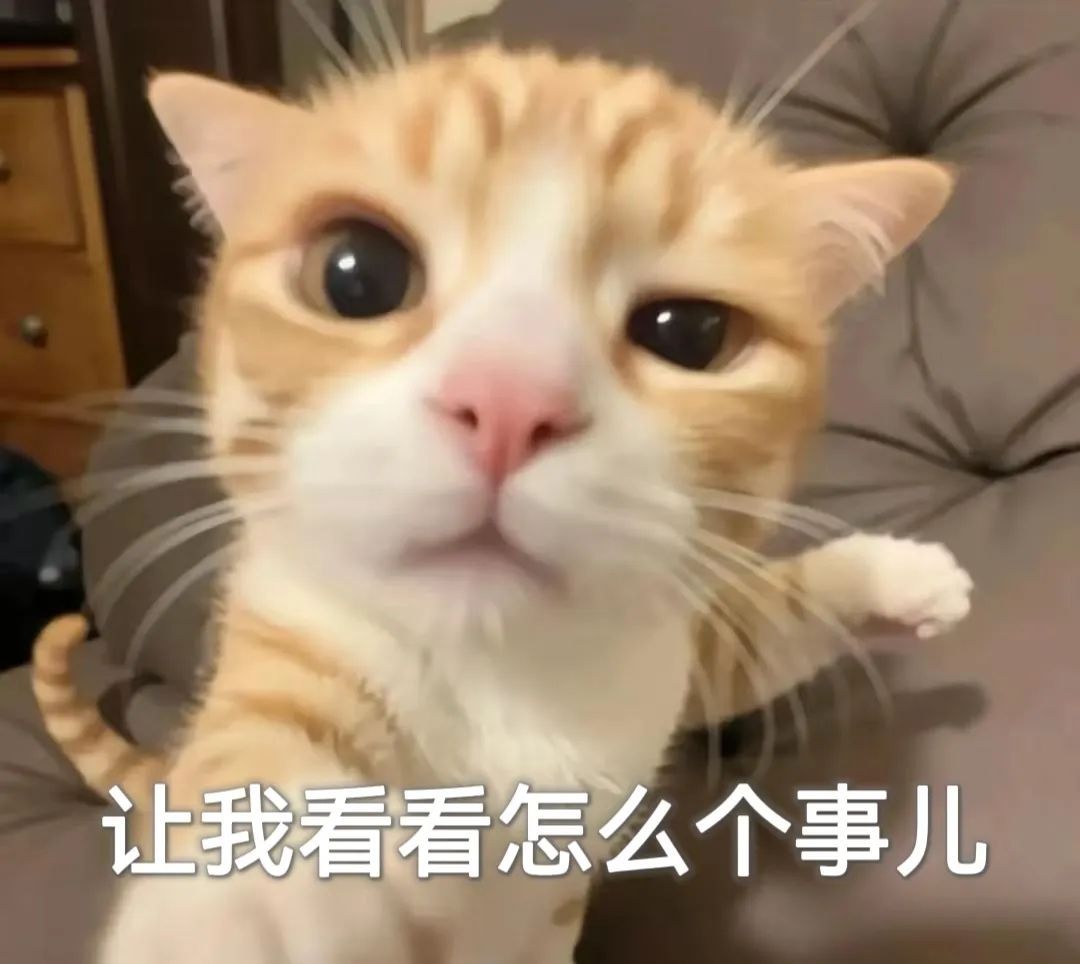 手动打“码”，真“刑”！