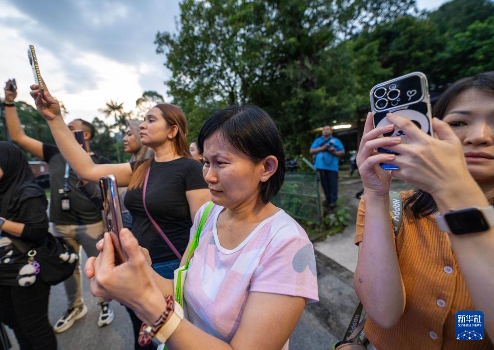 旅马大熊猫“兴兴”和“靓靓”启程归国