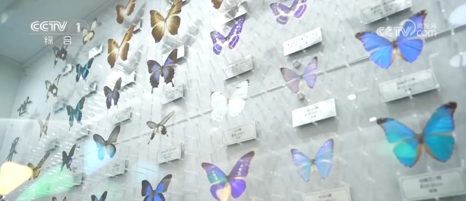 博物馆有了新的“打开方式” “文化+科技”助推“文博游”持续升温 博物馆有了新的“打开方式” “文化+科技”助推“文博游”持续升温