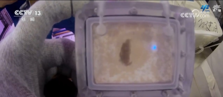 神二十乘组“更新”天宫周记 他们都在忙些什么→ 神二十乘组“更新”天宫周记 他们都在忙些什么→