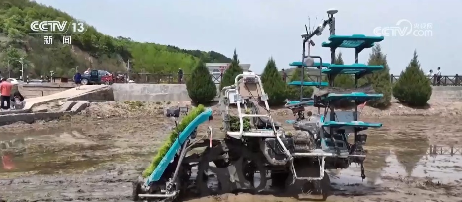 “新农机+新品种”助力增产增收 在希望的田野上 “丰”景可期