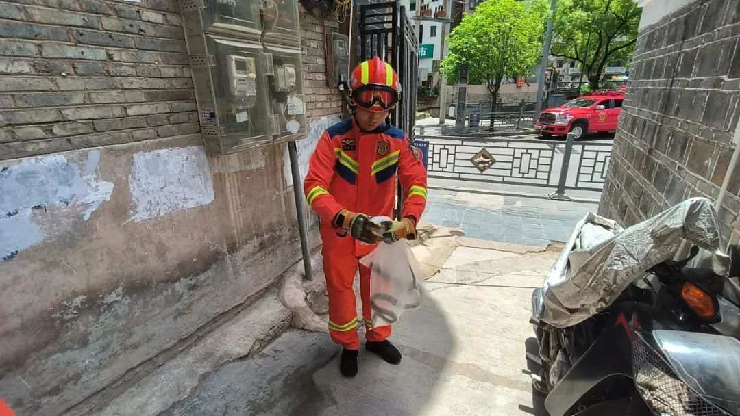 小心！近日，贵州多处有蛇出没→