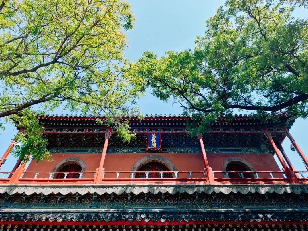 有免票！有优惠！今天，相约北京这些宝藏博物馆
