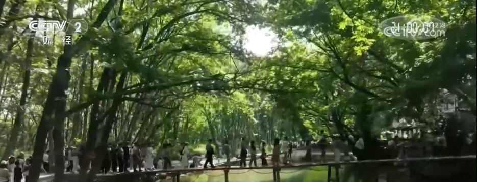 “非遗+生态+文旅”为乡村振兴“增色添彩” 农文旅融合点燃“夏日经济”