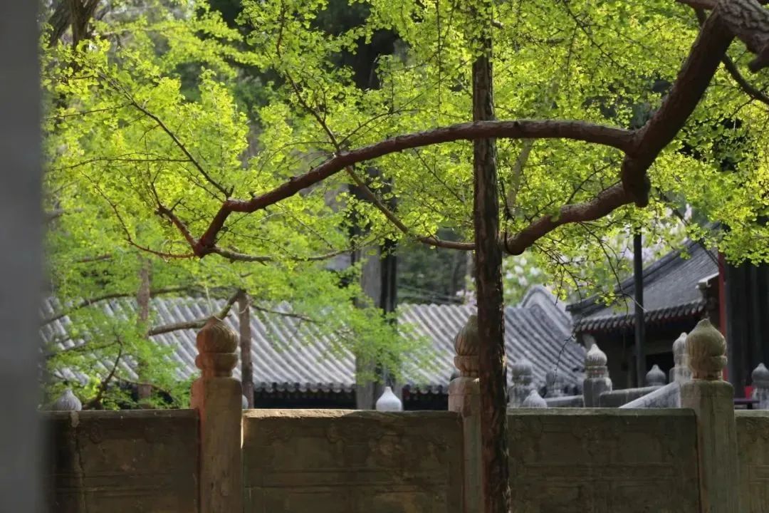 有免票！有优惠！今天，相约北京这些宝藏博物馆