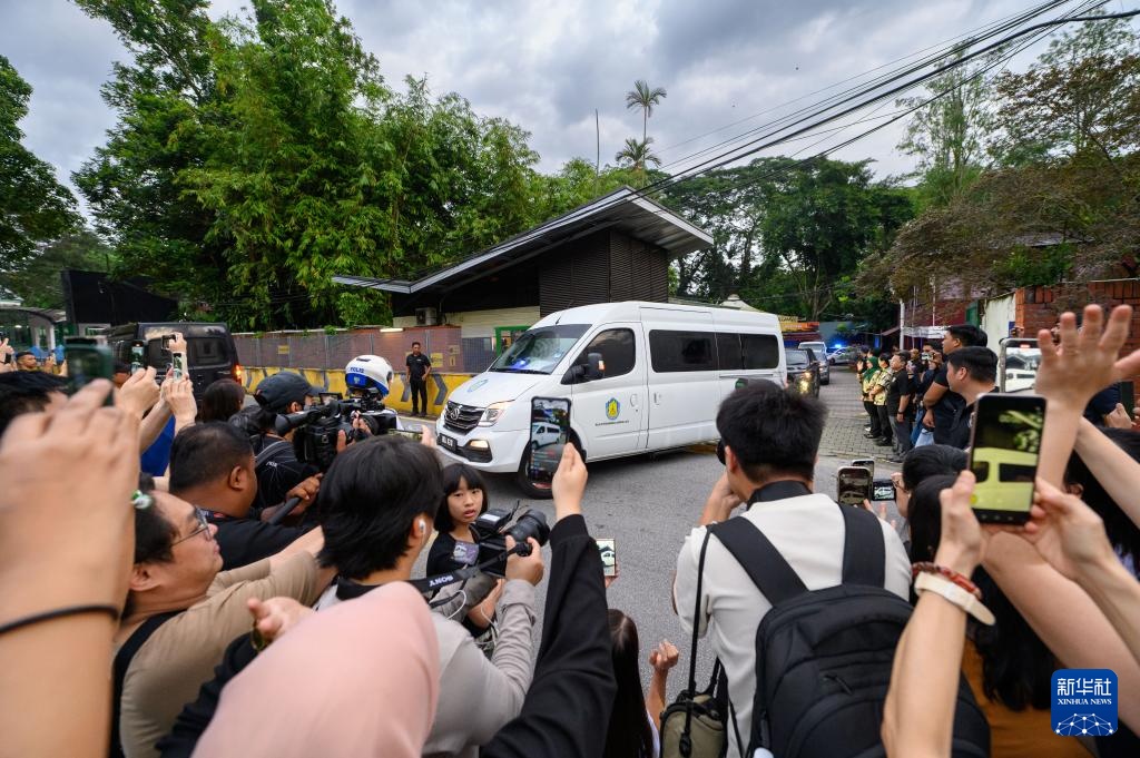 旅马大熊猫“兴兴”和“靓靓”启程归国