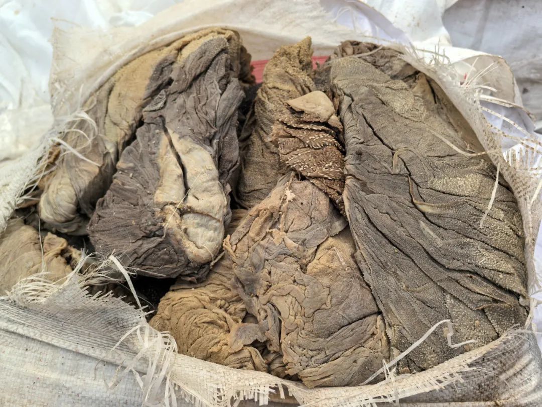 广州海关查获一批走私猪肚、牛百叶，部分已变质