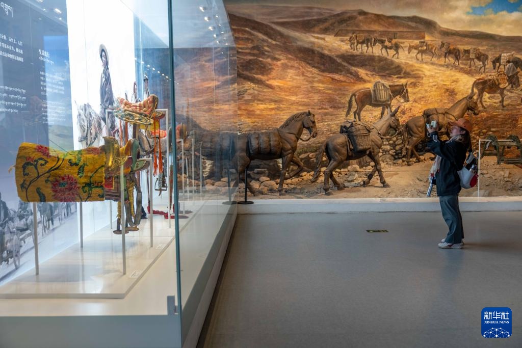 西藏举行国际博物馆日系列活动