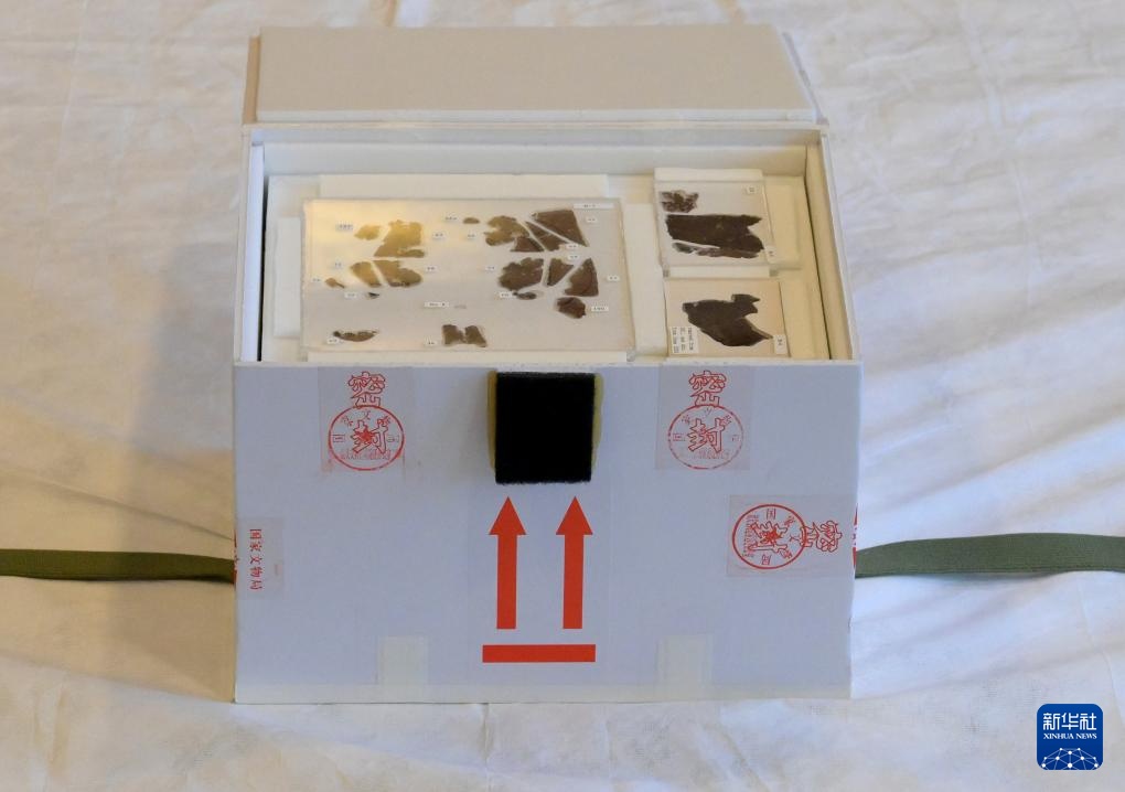 子弹库帛书《五行令》《攻守占》顺利抵京 子弹库帛书《五行令》《攻守占》顺利抵京