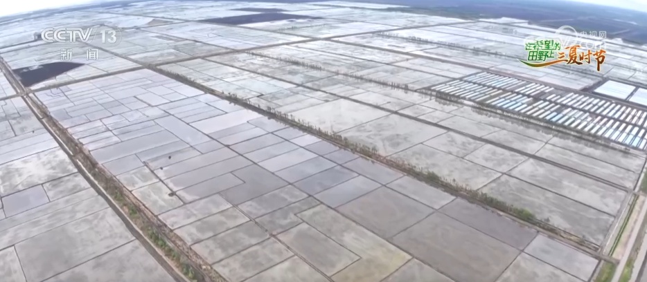 “新农机+新品种”助力增产增收 在希望的田野上 “丰”景可期