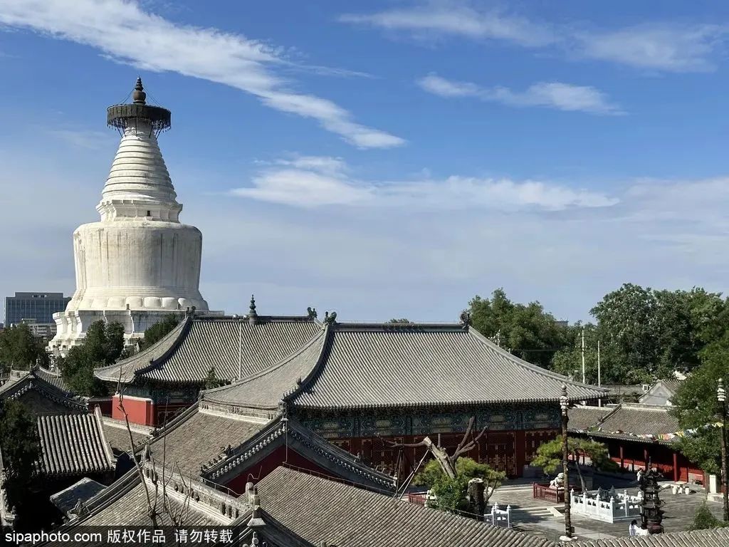 有免票！有优惠！今天，相约北京这些宝藏博物馆