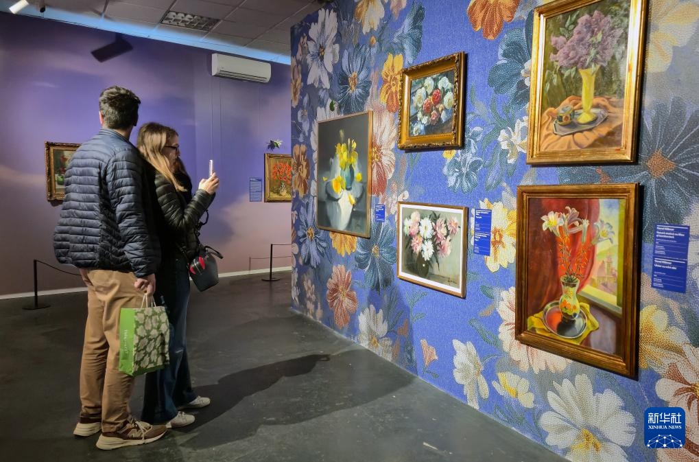 罗马尼亚举办“博物馆之夜”活动