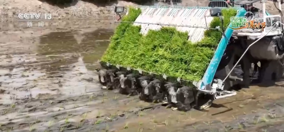 “新农机+新品种”助力增产增收 在希望的田野上 “丰”景可期