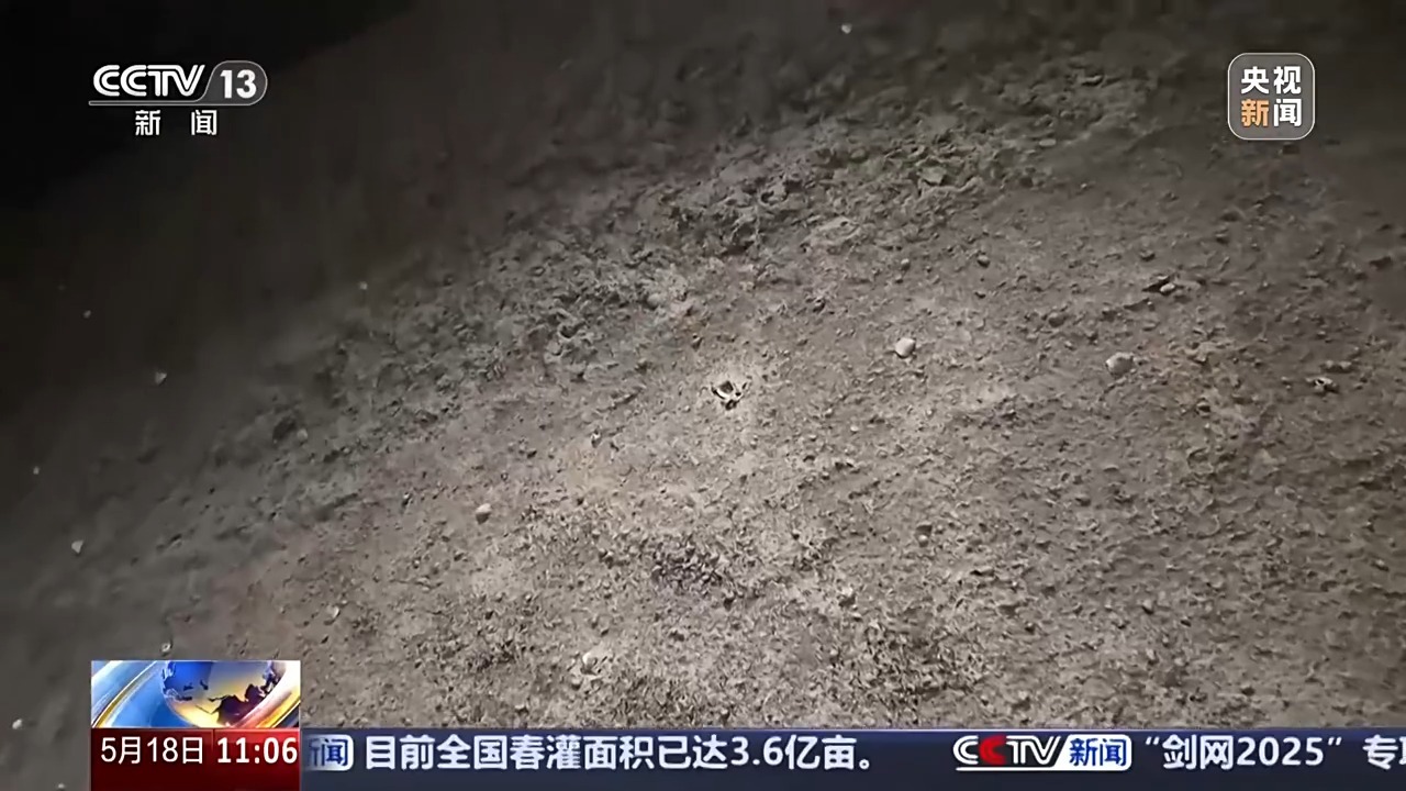 文化中国行丨一块砖一本书一部史 古老城砖有故事