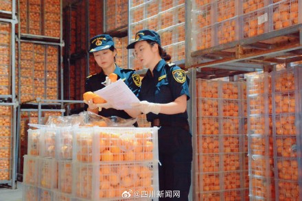 规模创历史同期新高!今年1-4月四川外贸进出口达3419.4亿元 规模创历史同期新高!今年1-4月四川外贸进出口达3419.4亿元