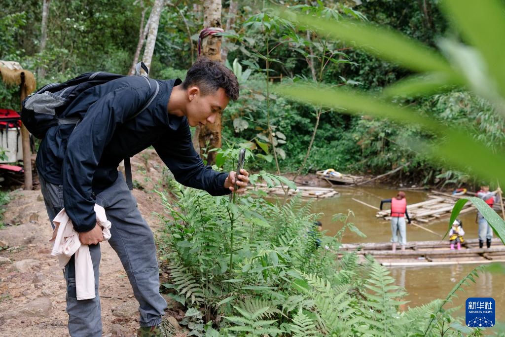 云南基诺山:雨林深处的古调新声 云南基诺山:雨林深处的古调新声