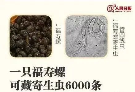 千万别吃，一口下去6000条寄生虫！多地正大量出现，严重可致死