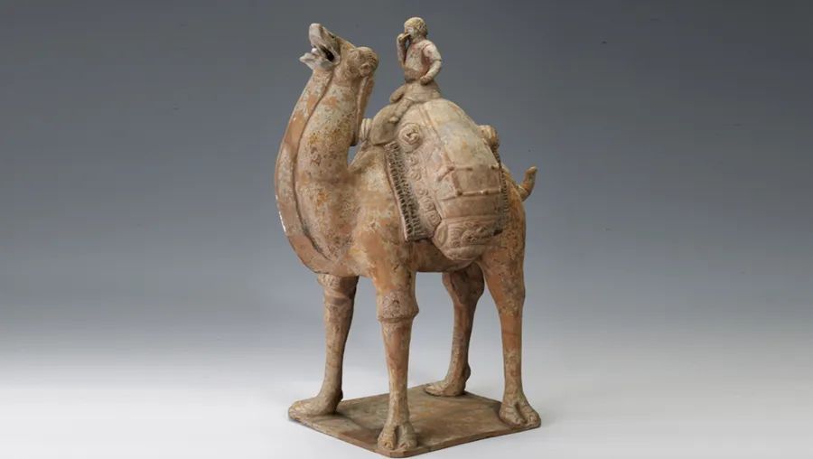 500年前,一只小猫在城墙上签了个名…… 500年前,一只小猫在城墙上签了个名……