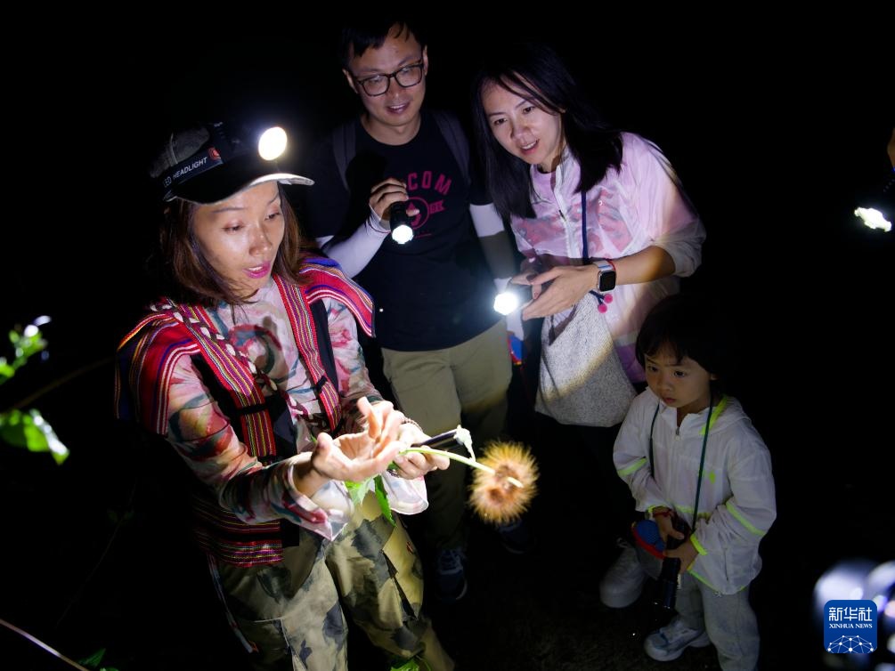 云南基诺山:雨林深处的古调新声 云南基诺山:雨林深处的古调新声