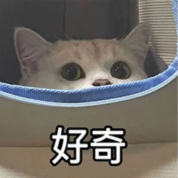 抛绣球的不一定是新娘，还可能是中考考生！