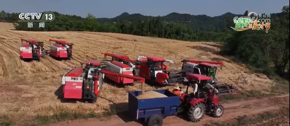“新农机+新品种”助力增产增收 在希望的田野上 “丰”景可期