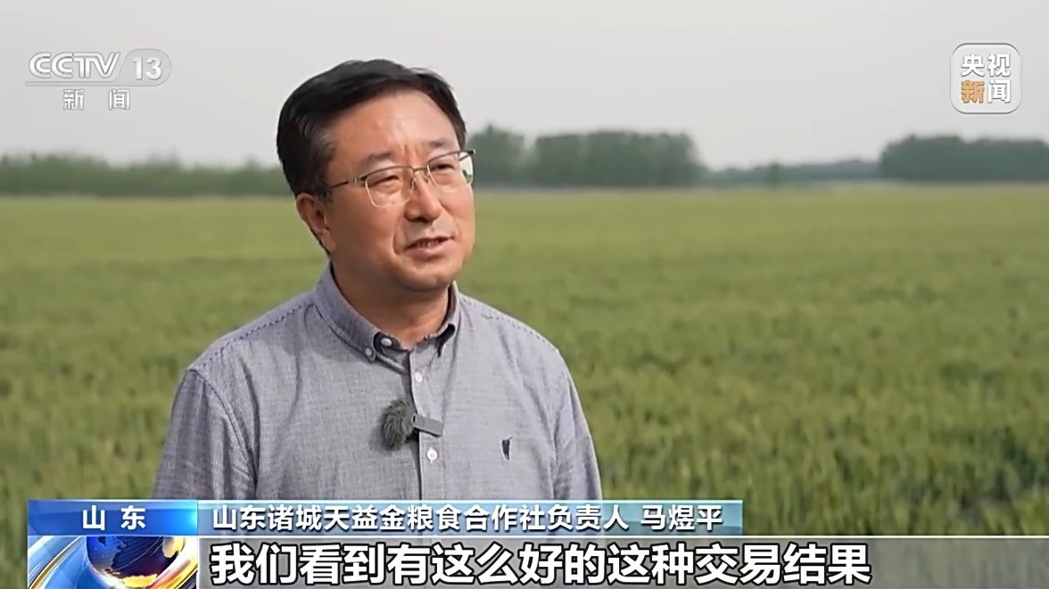 还在地里就被买走 从竞价平台看小麦市场新变化