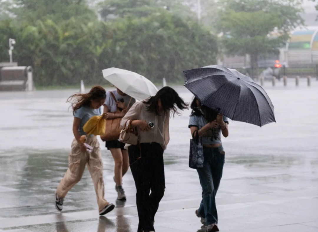 广东开启“倒水模式”！阳西一地12小时降雨超北京一年总量
