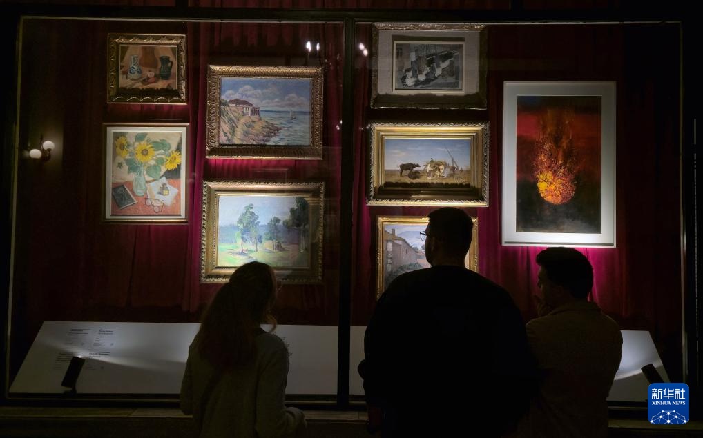 罗马尼亚举办“博物馆之夜”活动