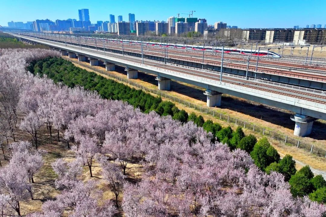 “显眼包”邀你坐高铁!网友:老祖宗的幽默好超前 “显眼包”邀你坐高铁!网友:老祖宗的幽默好超前