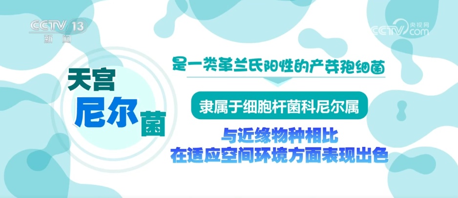 “天宫”添新客!空间站发现微生物新物种 期待探索更多太空生物奥秘 “天宫”添新客!空间站发现微生物新物种 期待探索更多太空生物奥秘