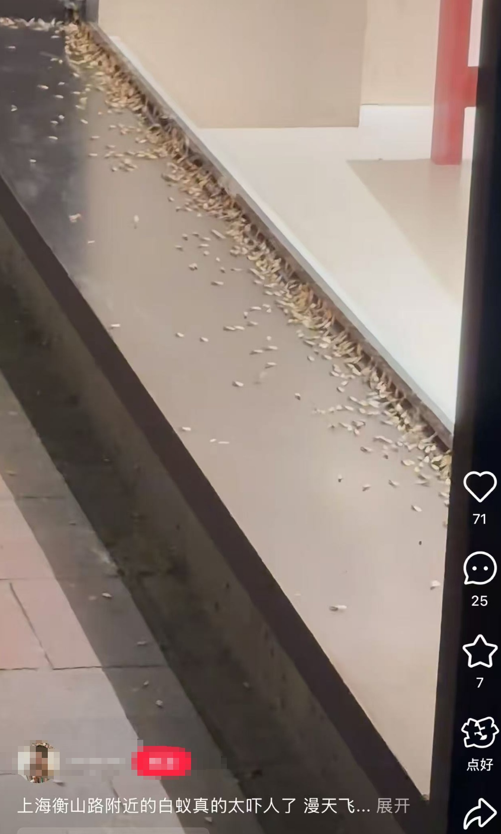 紧急提醒:瞬间爆发!上海市民崩溃:密密麻麻,蠕蠕爬行...“梧桐区”已开始战斗,白蚁或提前分飞 紧急提醒:瞬间爆发!上海市民崩溃:密密麻麻,蠕蠕爬行...“梧桐区”已开始战斗,白蚁或提前分飞