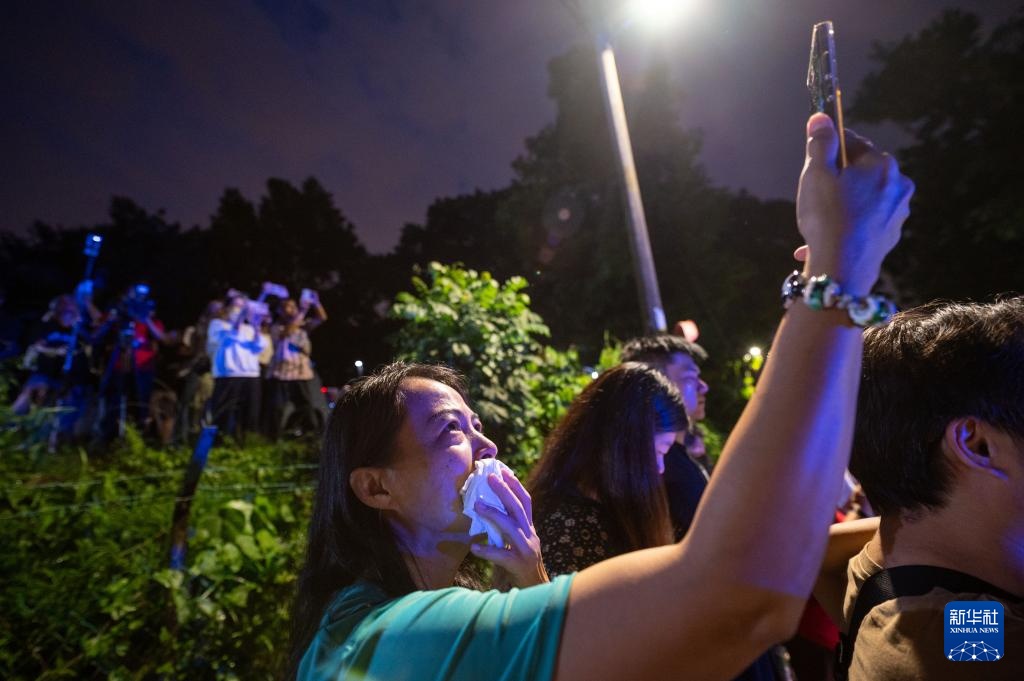 旅马大熊猫“兴兴”和“靓靓”启程归国