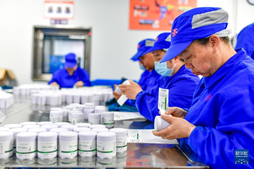 大山深处的“世界抹茶超级工厂”