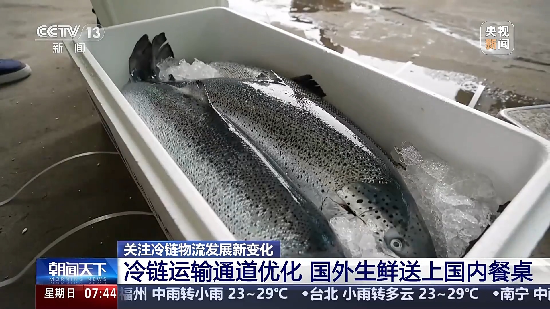 冷链物流市场规模Up 智利三文鱼48小时可抵成都市民餐桌