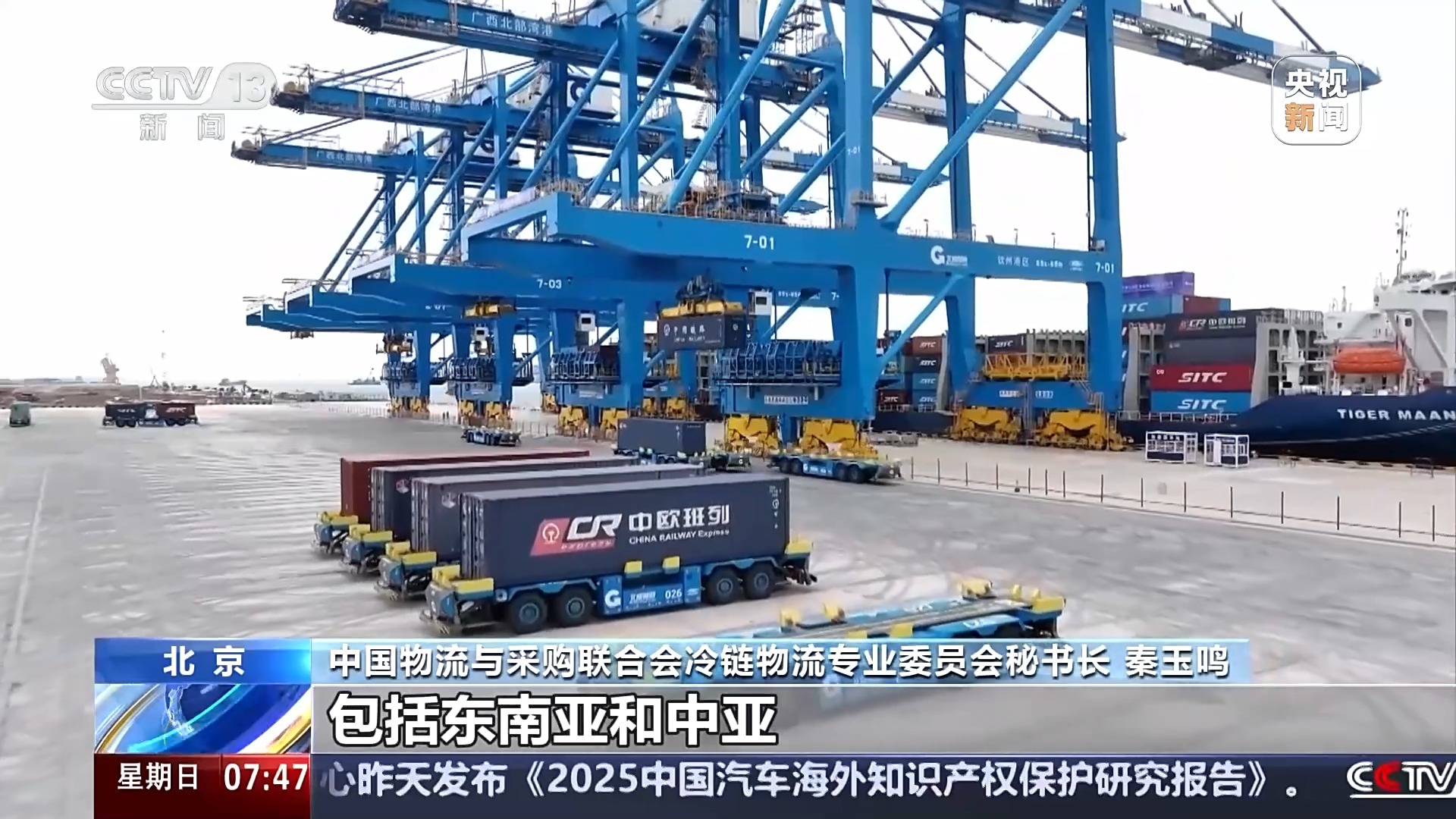 冷链物流市场规模Up 智利三文鱼48小时可抵成都市民餐桌