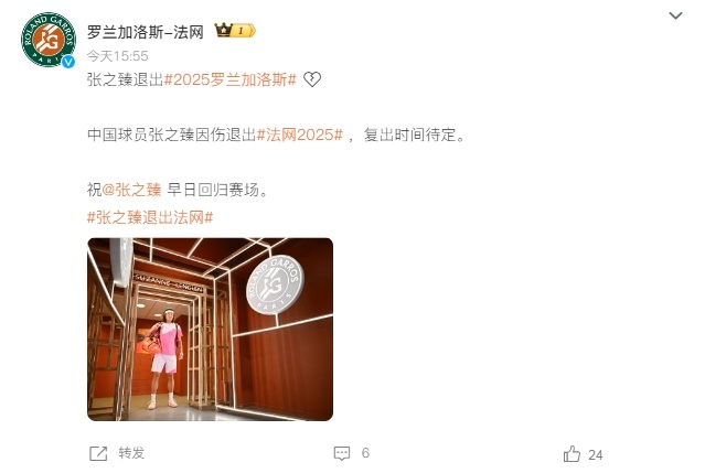 张之臻因伤退出法网