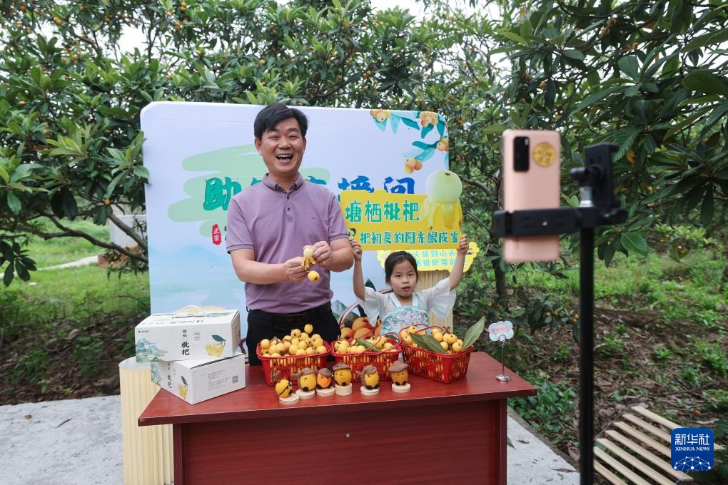 枇杷之乡开启夏日“甜蜜经济”