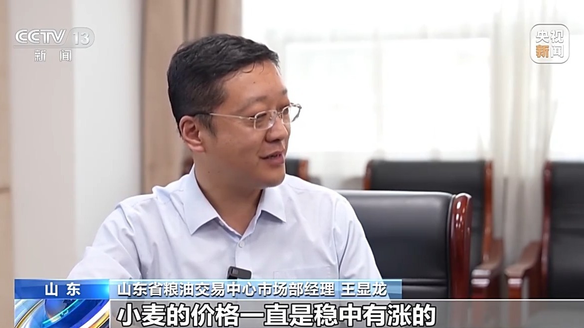 还在地里就被买走 从竞价平台看小麦市场新变化