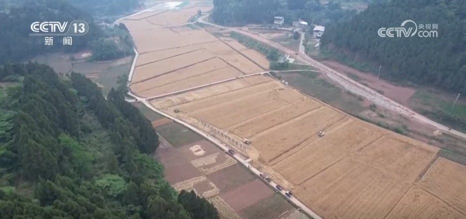 “新农机+新品种”助力增产增收 在希望的田野上 “丰”景可期