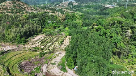 丽水庆元新发现一处唐代窑址