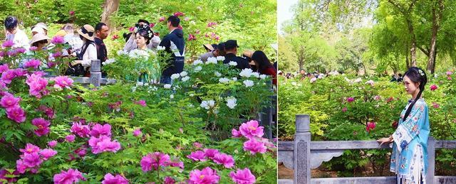 今天是中国旅游日,哪件文物让你想起一座城 今天是中国旅游日,哪件文物让你想起一座城