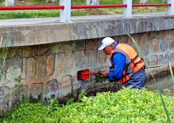 不能吃，寄生虫多达6000条！近期大量出现，多地集中清理
